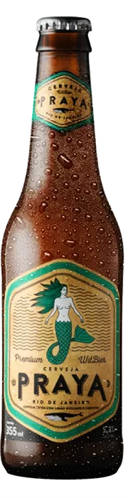 Praya Clássica — Long neck 355 ml C/4x6 — Descartável